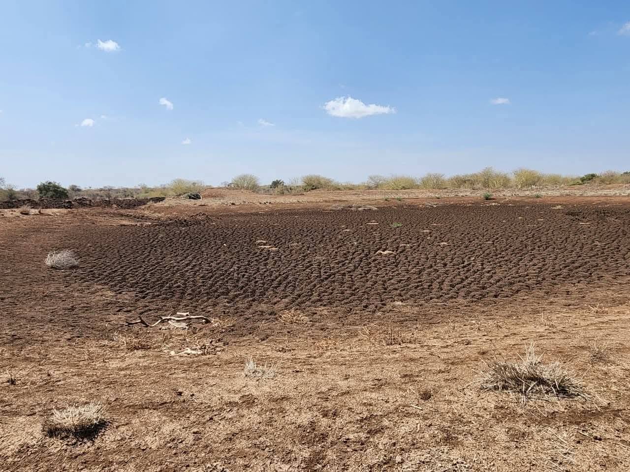 Counties Intensify Interventions to Cushion Communities from Prolonged Drought